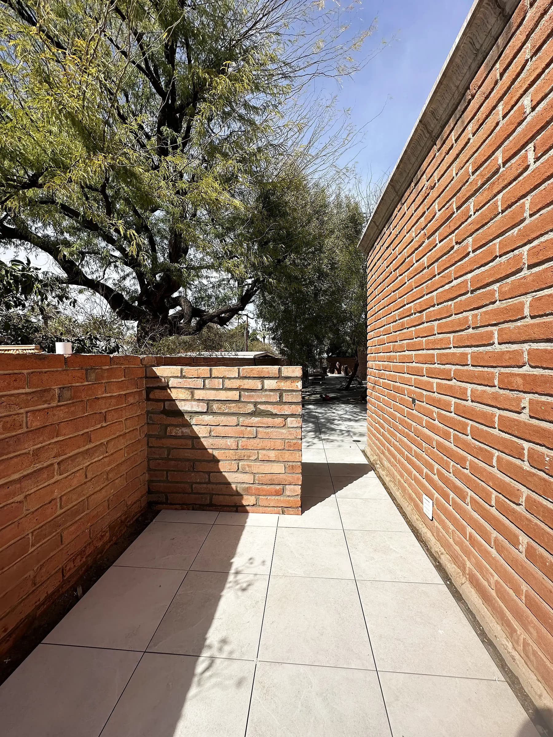Porcelain paving meeting a brick perimeter wall beside a mesquite tree